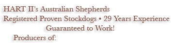 Working Trial Champions - Ranch Trial Dog Certified - Qualified for ASCA National Stockdog Finals - Hall of Fame Sires and Dams